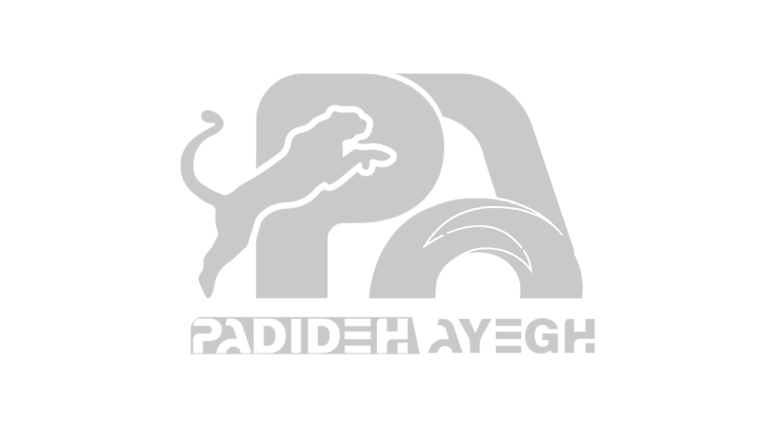 لوگو16